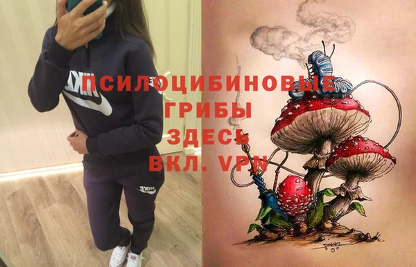 мдма Богородск