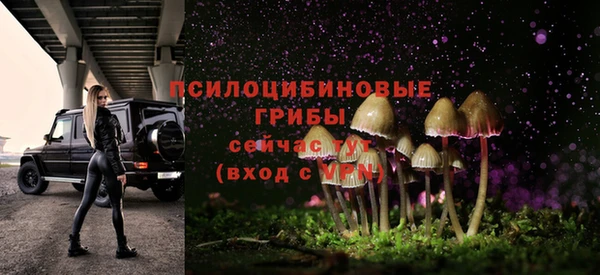 гидропоника Белокуриха