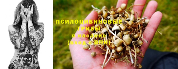 ПСИЛОЦИБИНОВЫЕ ГРИБЫ Богданович